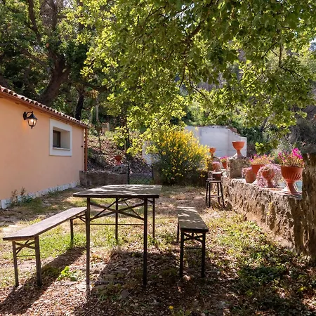 Seaside In Paradise *