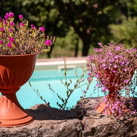 Seaside In Paradise チェファル