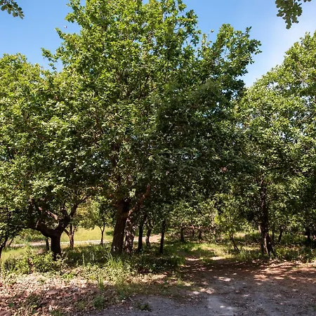 Seaside In Paradise *